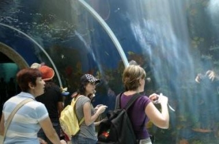 Sensaciones submarinas